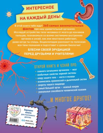 Человек! 365 вещей, которые нужно знать про наше тело — изображение 2